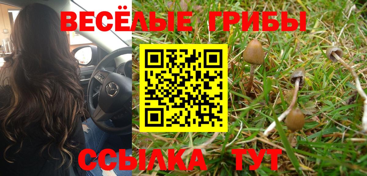 Псилоцибиновые грибы Psilocybe  Вход с VPN  Галлюциногенные грибы MAGIC MUSHROOMS  Новошахтинск 