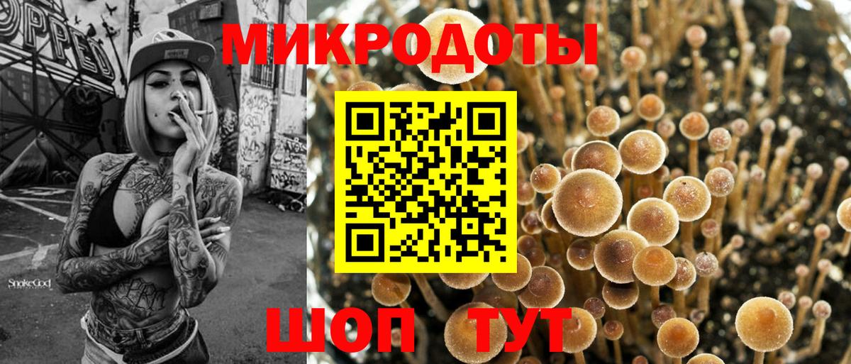 Псилоцибиновые грибы мицелий Новошахтинск